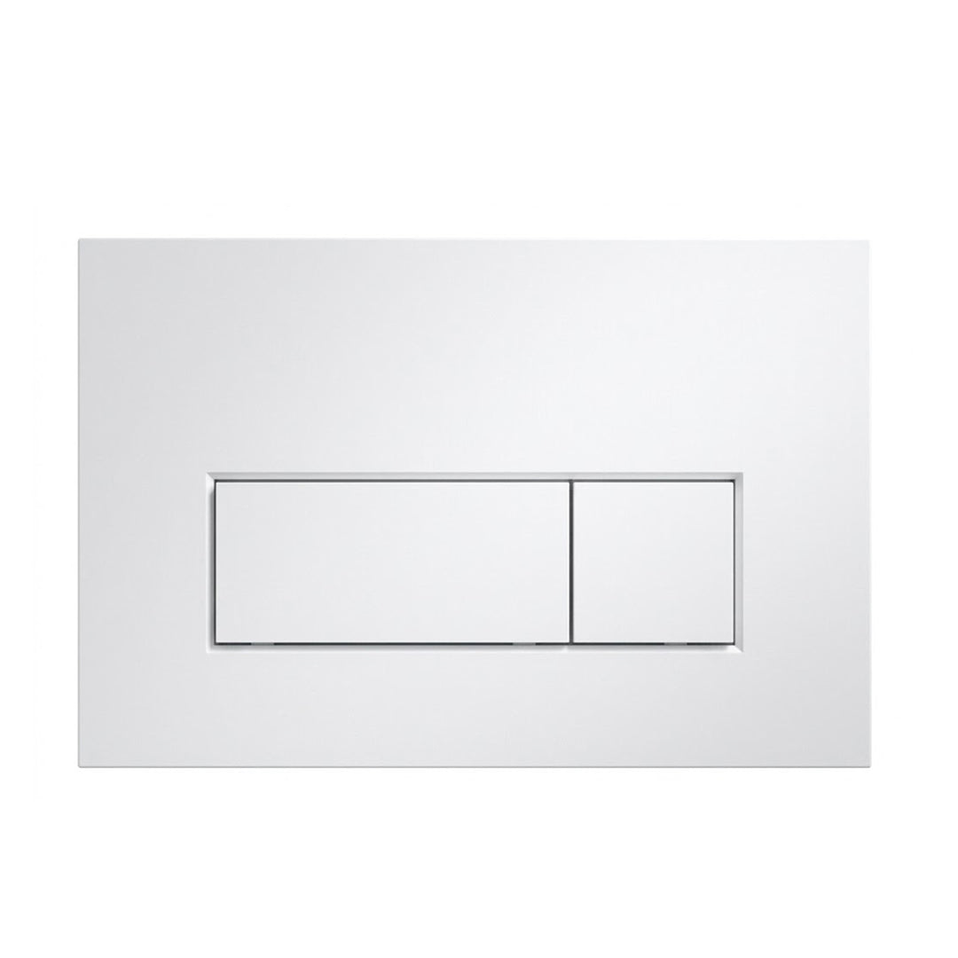 Cistern Flush Plate